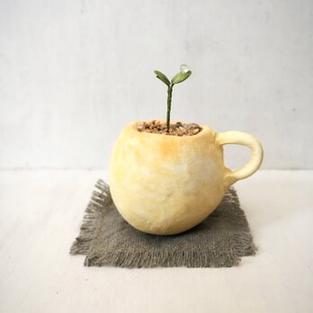 3804.bud 粘土の鉢植え マグカップの画像