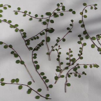 ワイヤープランツ　押し花　葉　10ｃｍ以上　8本　キャンドル　ハーバリウム　レジン　花材　素材 　8本の画像