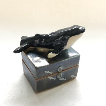 陶のハコ「クジラの住む海」の画像