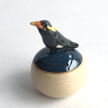 陶のハコ・手のり小鳥「キュウカンチョウ」の画像