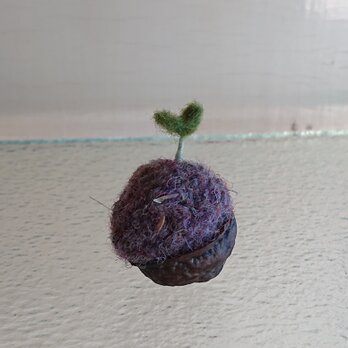 羊毛で作ったクルミの芽の画像