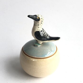陶のハコ・手のり小鳥「アオアシカツオドリ」の画像