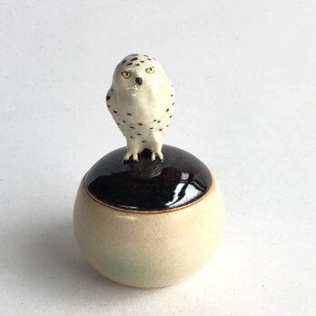 陶のハコ・手のり小鳥「しろふくろう」の画像