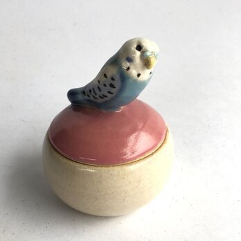 陶のハコ・手のり小鳥「セキセイインコ・ブルー」の画像