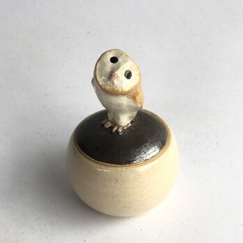 陶のハコ・手のり小鳥「メンフクロウ」の画像
