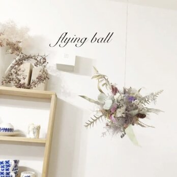 wild  flying ballの画像