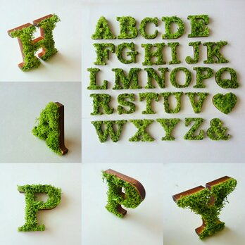 木製 アルファベットオブジェ(モス) ５個セットの画像