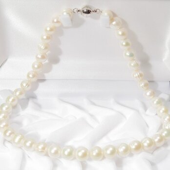 11mm本真珠（淡水）のネックレス（ナチュラルカラー、ホワイト、マグネットクラスプ）の画像