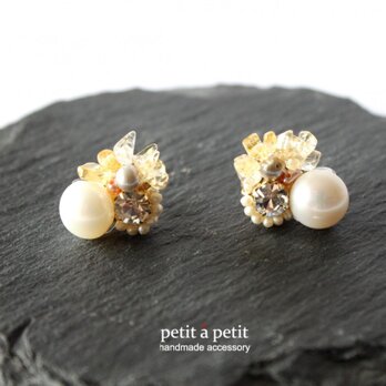 【m様オーダー品】*bijou pierce-white- npの画像