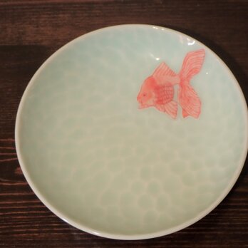 青白磁面取り赤絵金魚紋　皿の画像