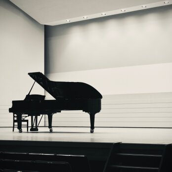 W029　Piano Concertosの画像