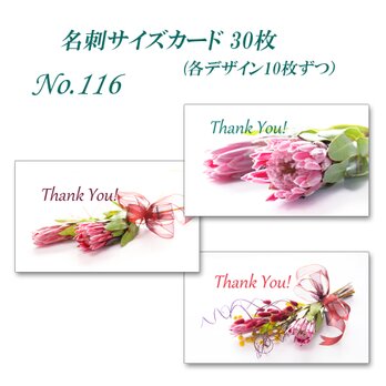 No.116  エキゾチックなプロテア（生花）　 名刺サイズカード　30枚の画像