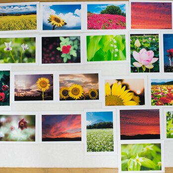 Lサイズの写真・花と風景色々26枚セット(L011)の画像
