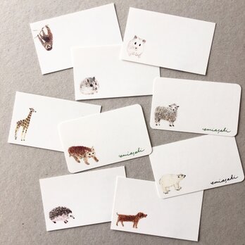 選べる動物のメッセージカード サンキューカード 20枚の画像