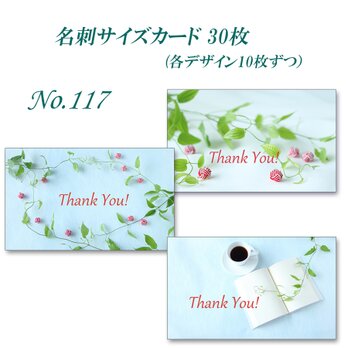 No.117  涼し気な利休草　 名刺サイズカード　30枚の画像