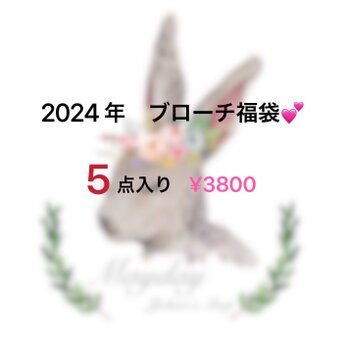 ✨『2024年福袋-ブローチ５点セット』５点ともランダムの画像