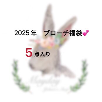 ✨【送料無料】『2025年福袋-ブローチ５点セット』５点ともランダムの画像