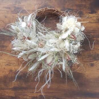 ルナリアとチガヤの穂のハーフリース　　ドライフラワーリース　夏　ふわふわ　ワイヤープランツ