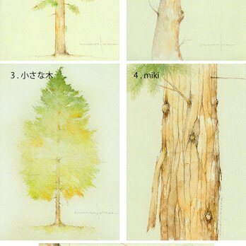 ポストカード・樹木シリーズ　5枚セット　他の組合せも可の画像