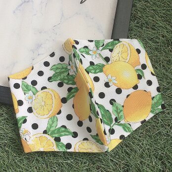 夏向け　立体マスク　　キッズ　オトナ　レモン　ドットの画像