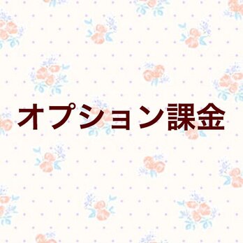 【320円】オプション課金の画像