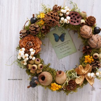 Fall Wreath ～森の宝物～　１8～19cmの画像