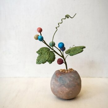 5006.bud 粘土の鉢植え ノブドウの画像