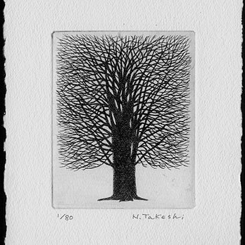 一本の樹/ 銅版画（作品のみ）の画像