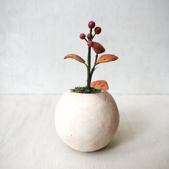 5009.bud 粘土の鉢植え 赤い実