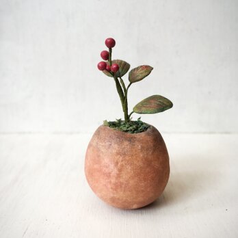 5010.bud 粘土の鉢植え 赤い実の画像