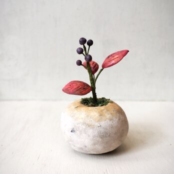 5011.bud 粘土の鉢植え 紫の実の画像