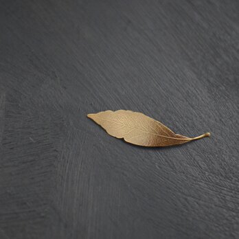 Fallen leaves / broochの画像
