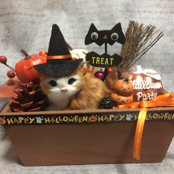 猫ちゃんのハロウィンアレンジ ウッドボックス L オレンジ系の画像