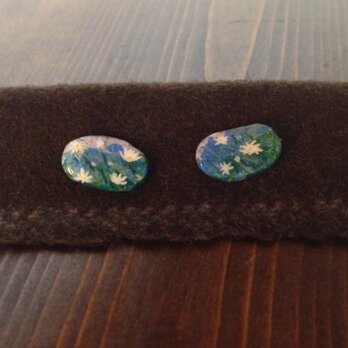 Mt.Fuji＊野草シリーズ＊ イワツメクサ