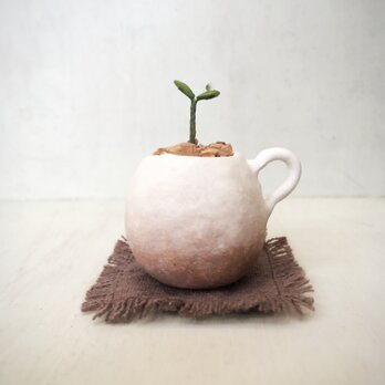 5080.bud 粘土の鉢植え マグカップの画像