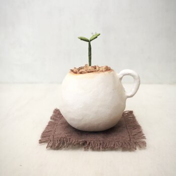 5083.bud 粘土の鉢植え マグカップの画像