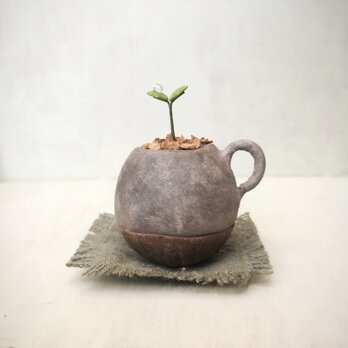 5084.bud 粘土の鉢植え マグカップの画像