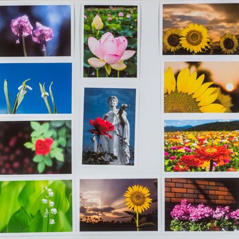Lサイズの写真・花と風景色々20枚セット(L011-2)の画像