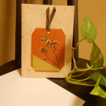 身近な植物のしおり＆しおりを使ったグリーティングカードの画像