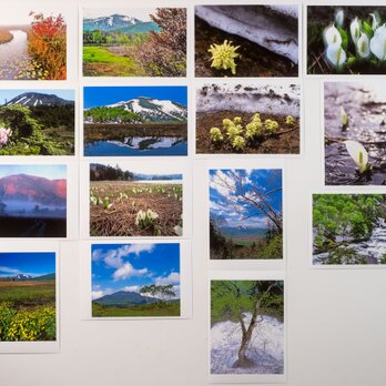 Lサイズの写真・尾瀬の風景15枚セット(L013-2)の画像