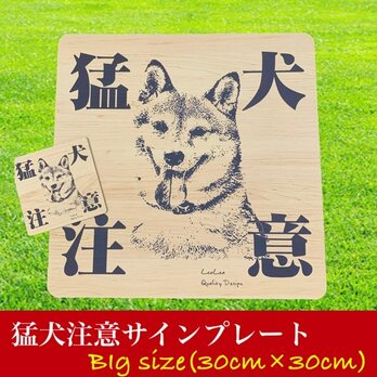 【送料無料】Big猛犬注意サインプレート(柴犬)木目調アクリルプレートの画像