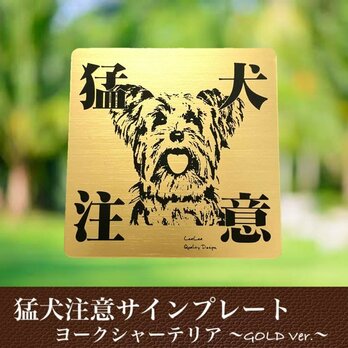 【送料無料】猛犬注意サインプレート(ヨークシャーテリア)GOLDアクリルプレートの画像