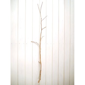 小枝付き 流木素材 枝 [約L94cm] ＃043の画像
