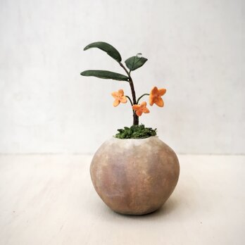 5121.bud 粘土の鉢植え キンモクセイの画像