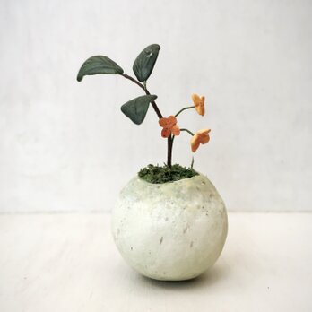 5122.bud 粘土の鉢植え キンモクセイの画像