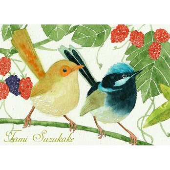 水彩画・原画「小鳥と木の実」の画像