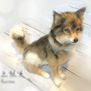 狼　狼犬　川上犬　ウルフドッグ　羊毛フェルト　アートドールの画像