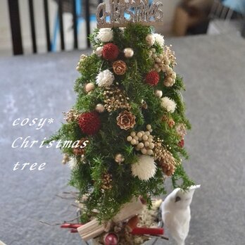 【送料半額＃おうちクリスマス☆キャンペーン】オウムとクリスマスツリーの画像