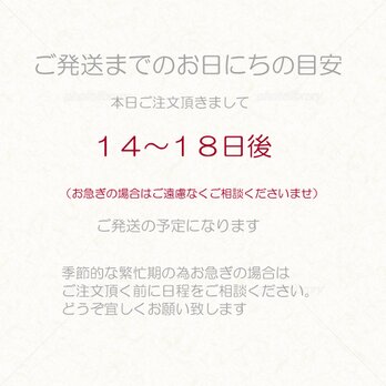 ●ご発送までのお日にちと採寸方法、袖丈着丈の目安について●の画像