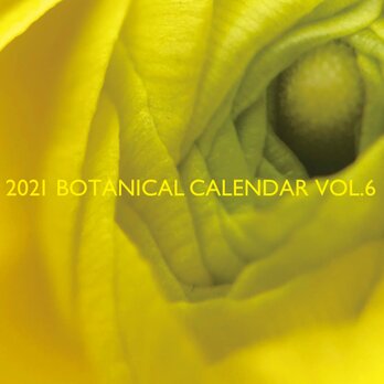 カレンダー 2021 BOTANICAL CALENDAR VOL.6の画像